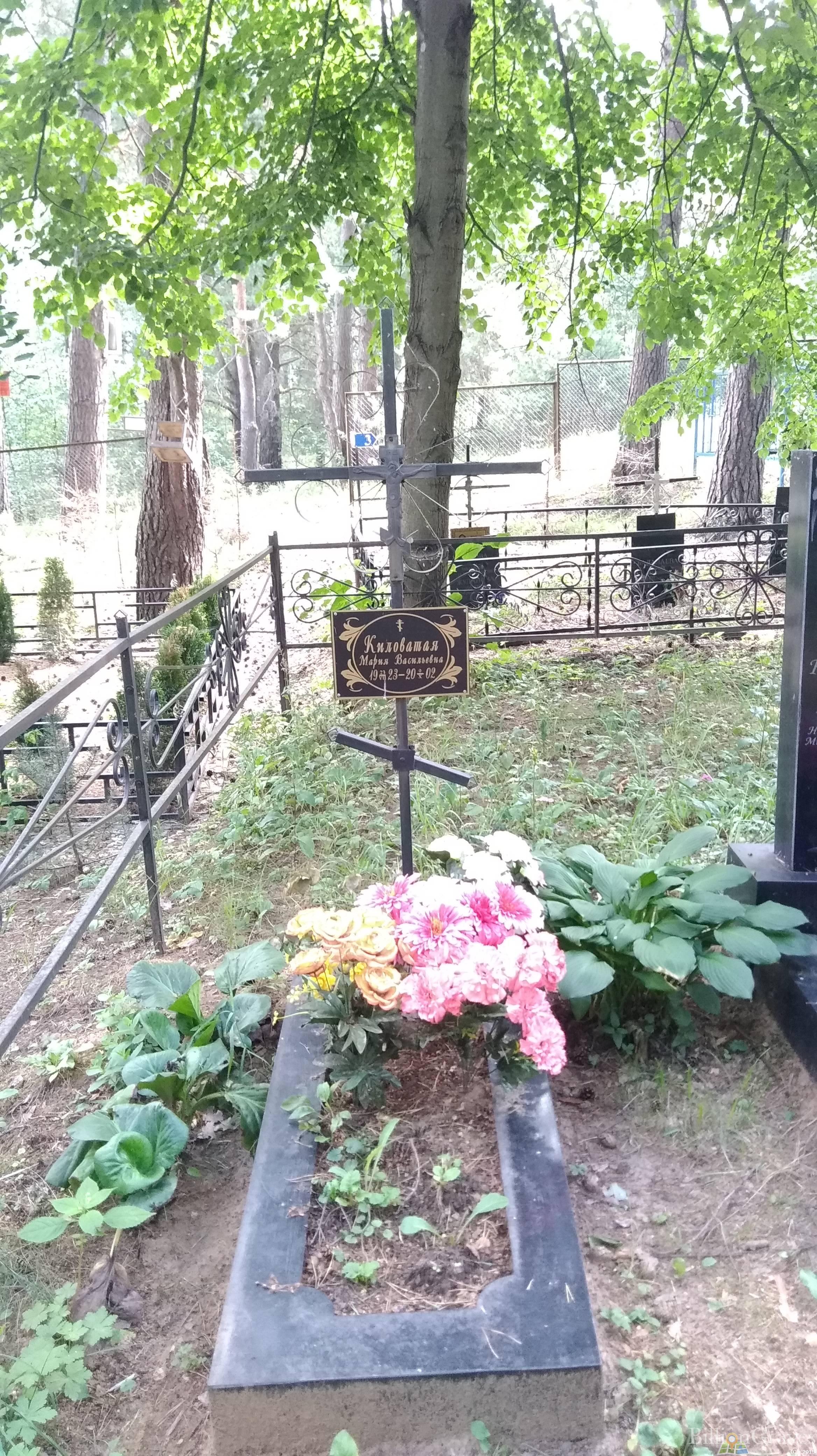 Киловатая Мария Васильевна