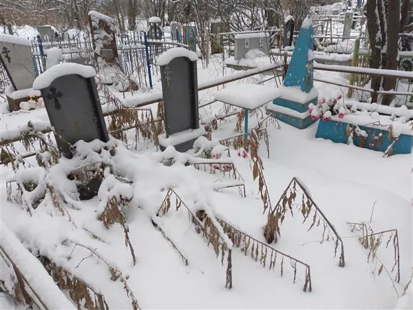 ***гудкова Галина