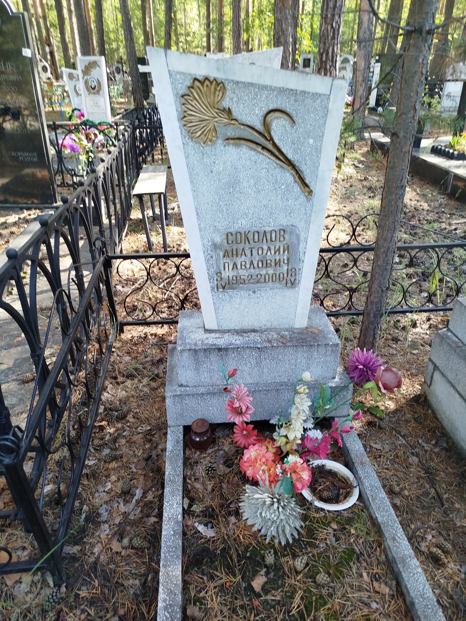 Соколов Анатолий Павлович