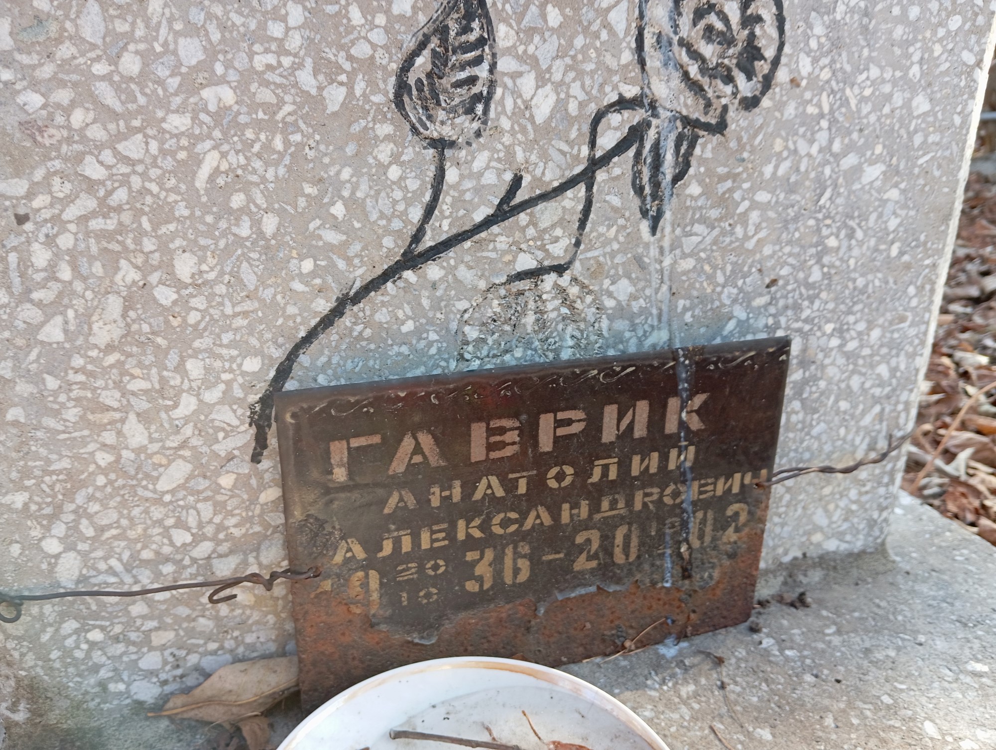 Гаврик Анатолий Александрович