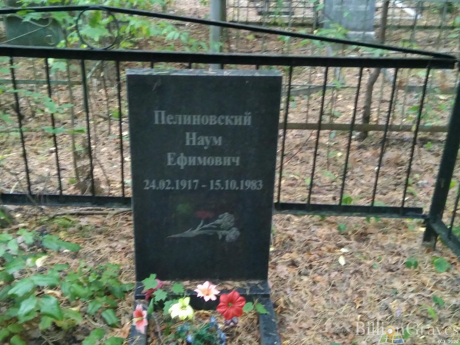 Пелиновский Наум Ефимович