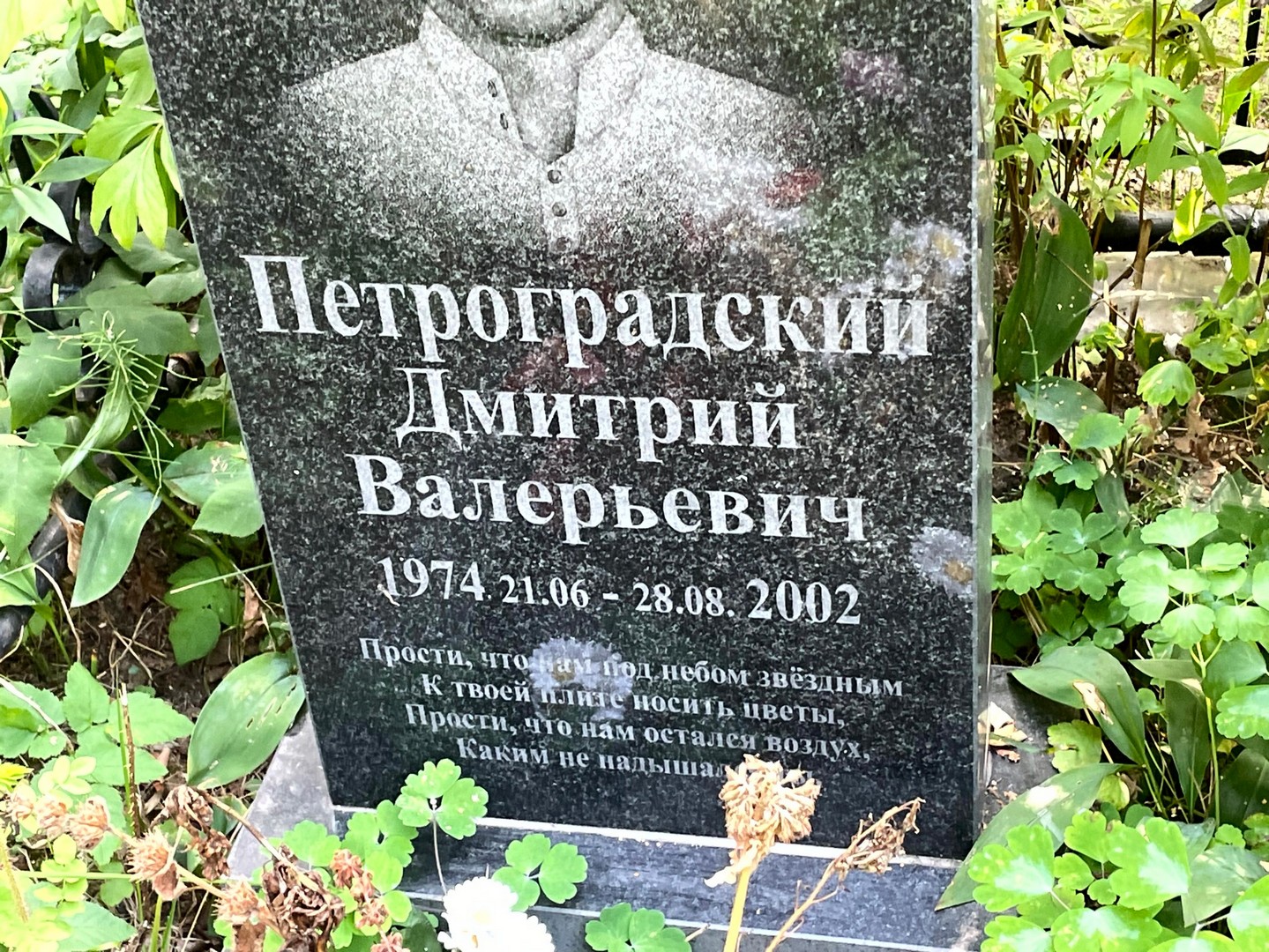 Петроградский