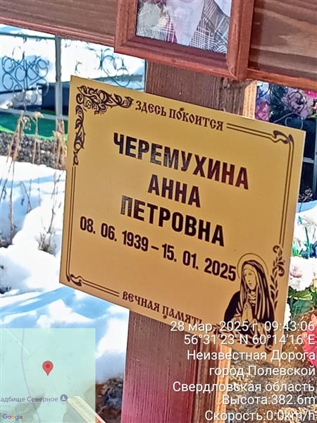 Черемухина Анна Петровна