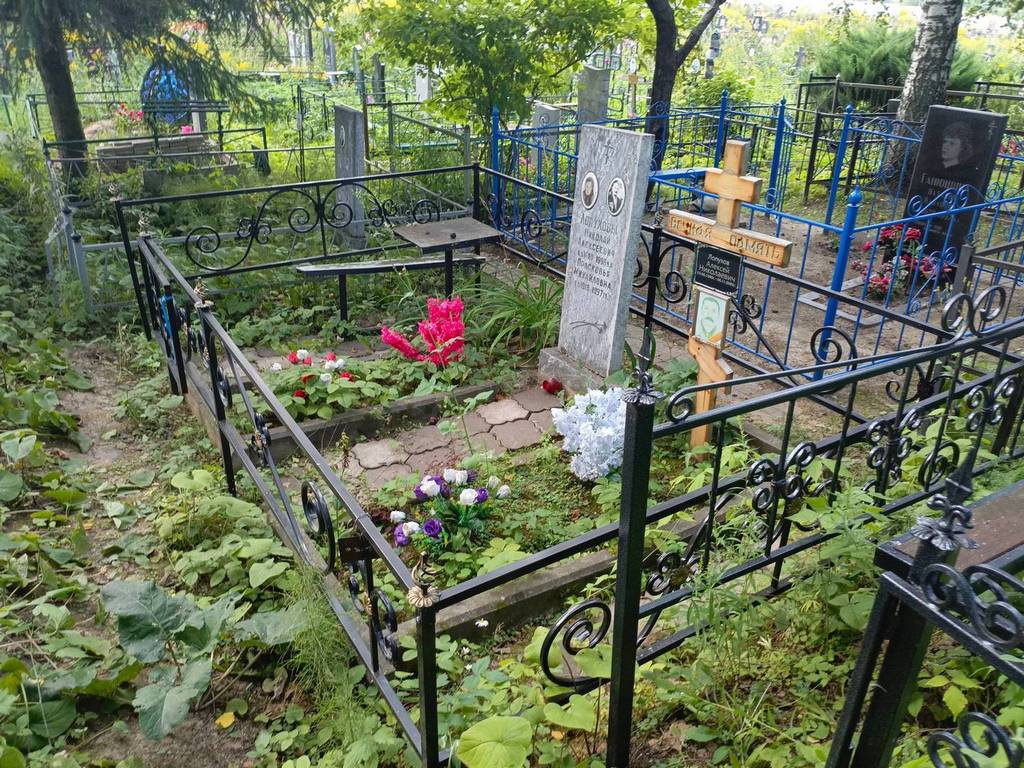 Лопухов Николай Алексеевич
