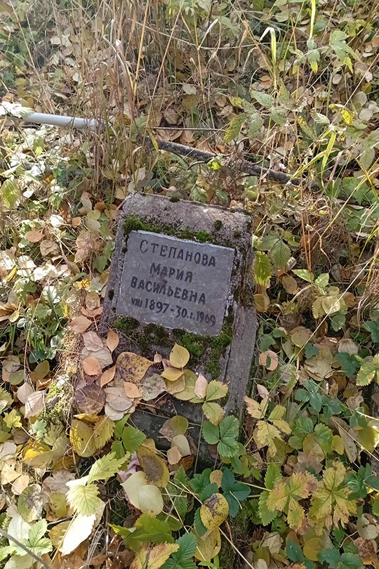 Степанова Мария Васильевна