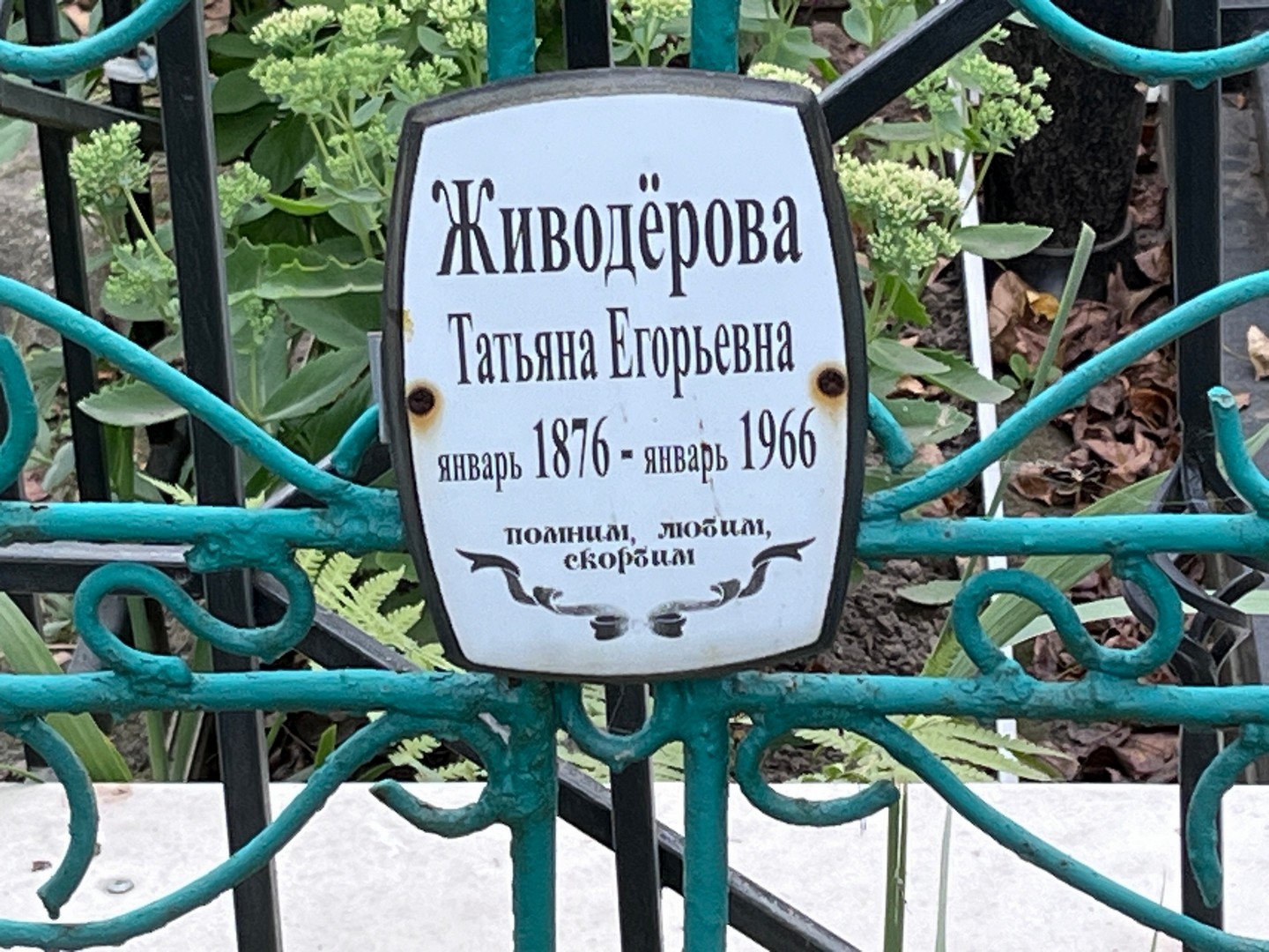 Живодерова