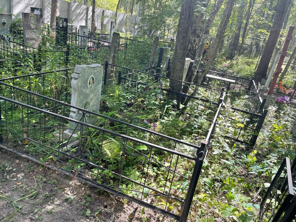 Бехтяева Евгения Васильевна