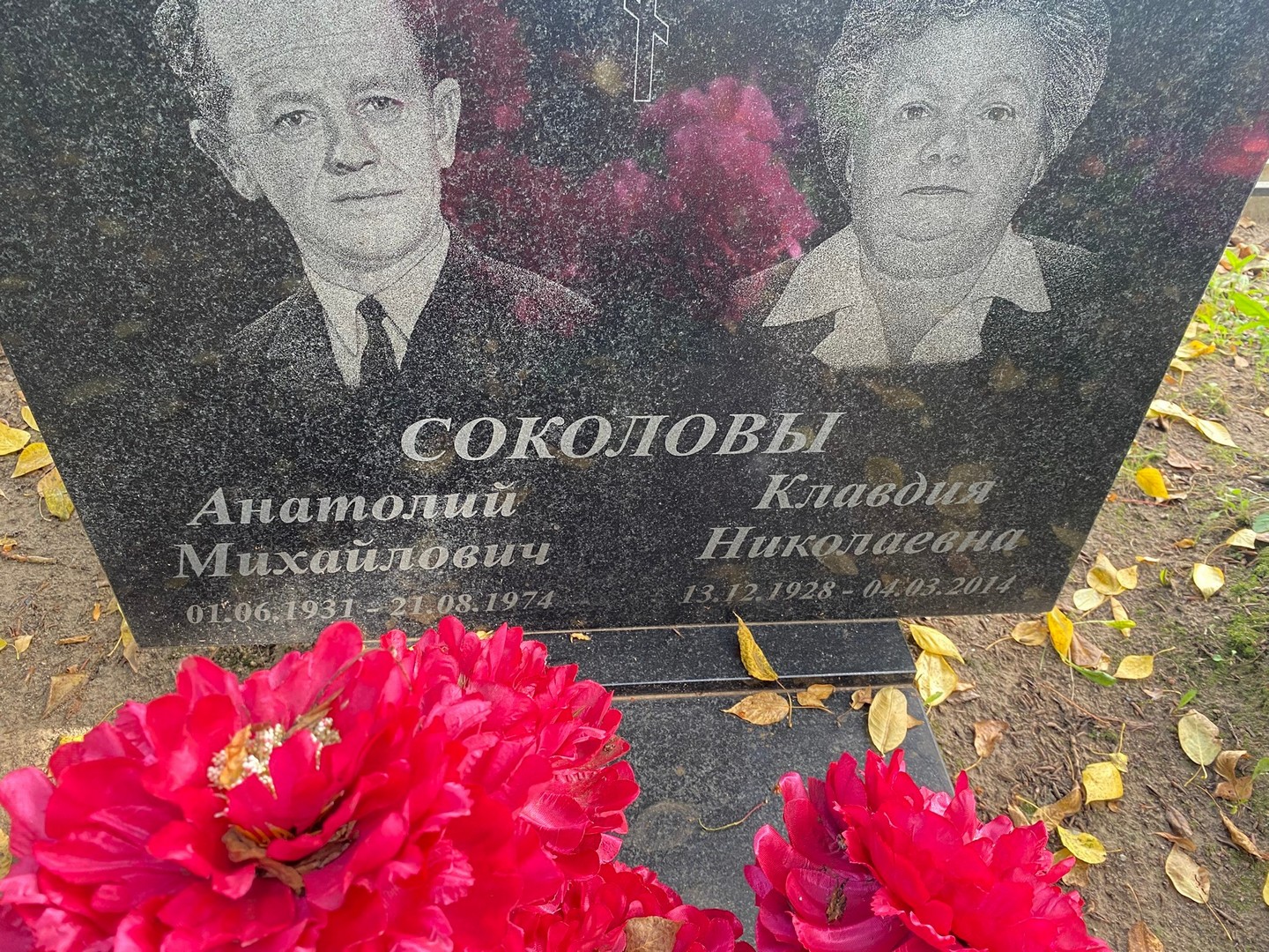 Соколов