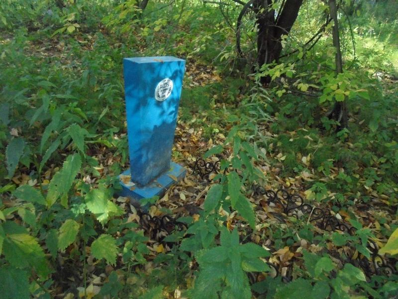 Файзулина Зоя Хакимовна