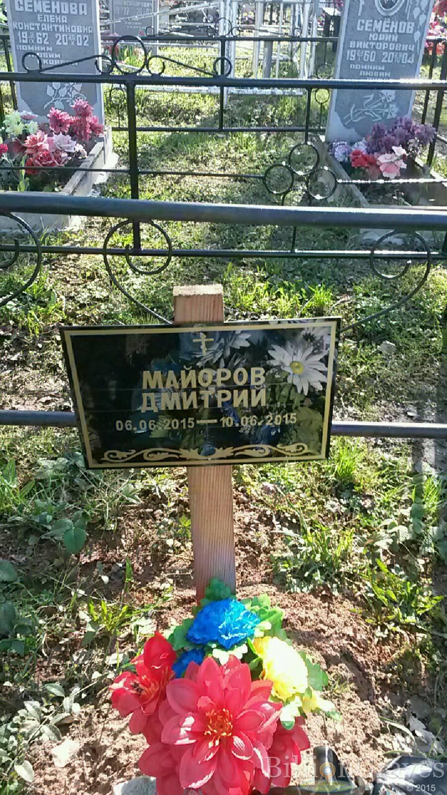Майоров Дмитрий