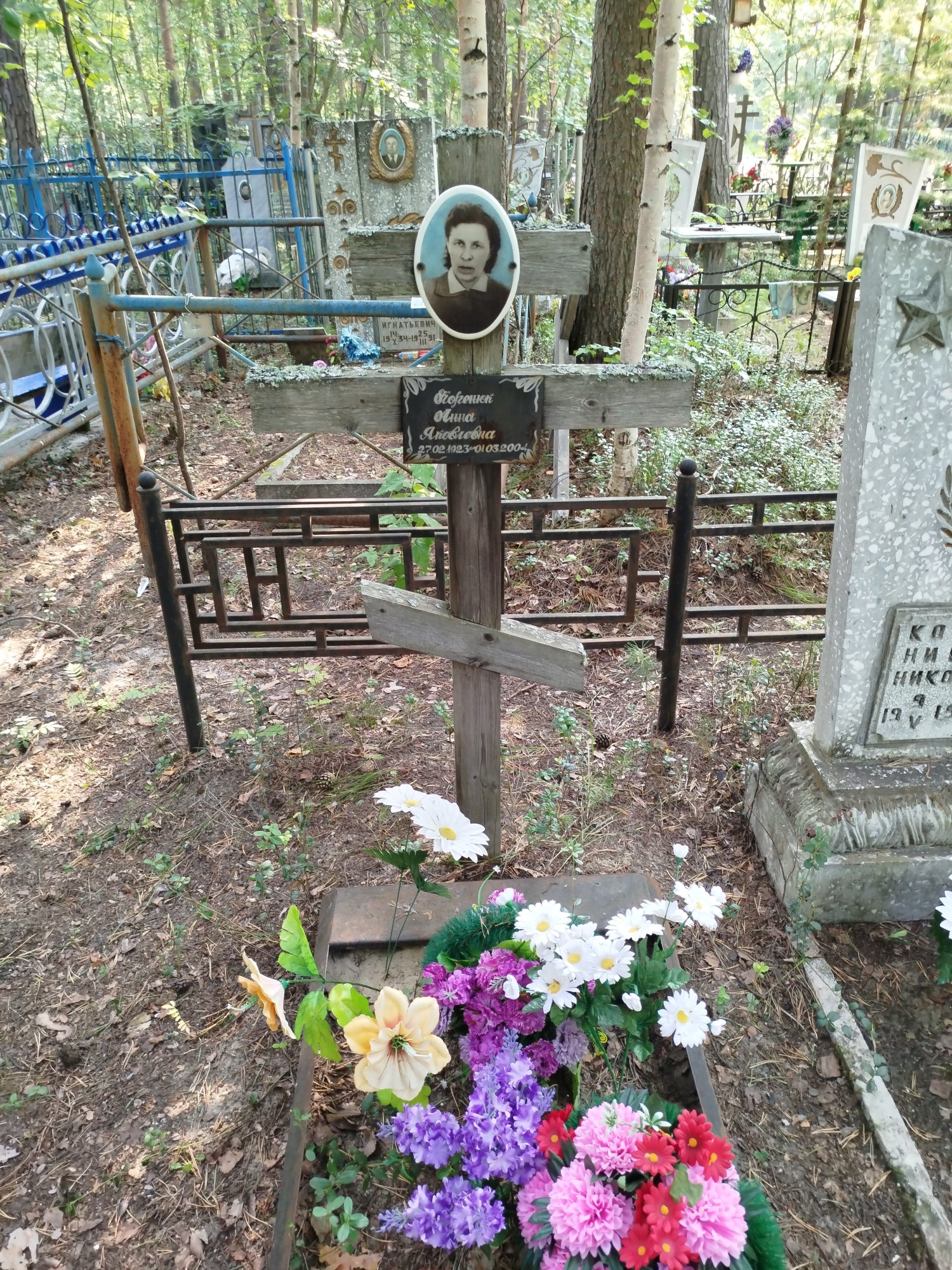Коренюк Анна Яковлевна