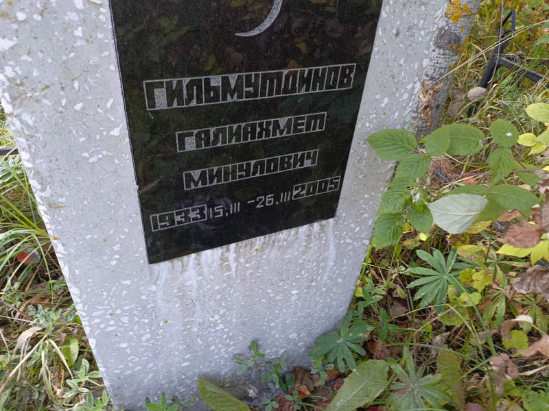 Галиахмет Гильмутдинов Минулович