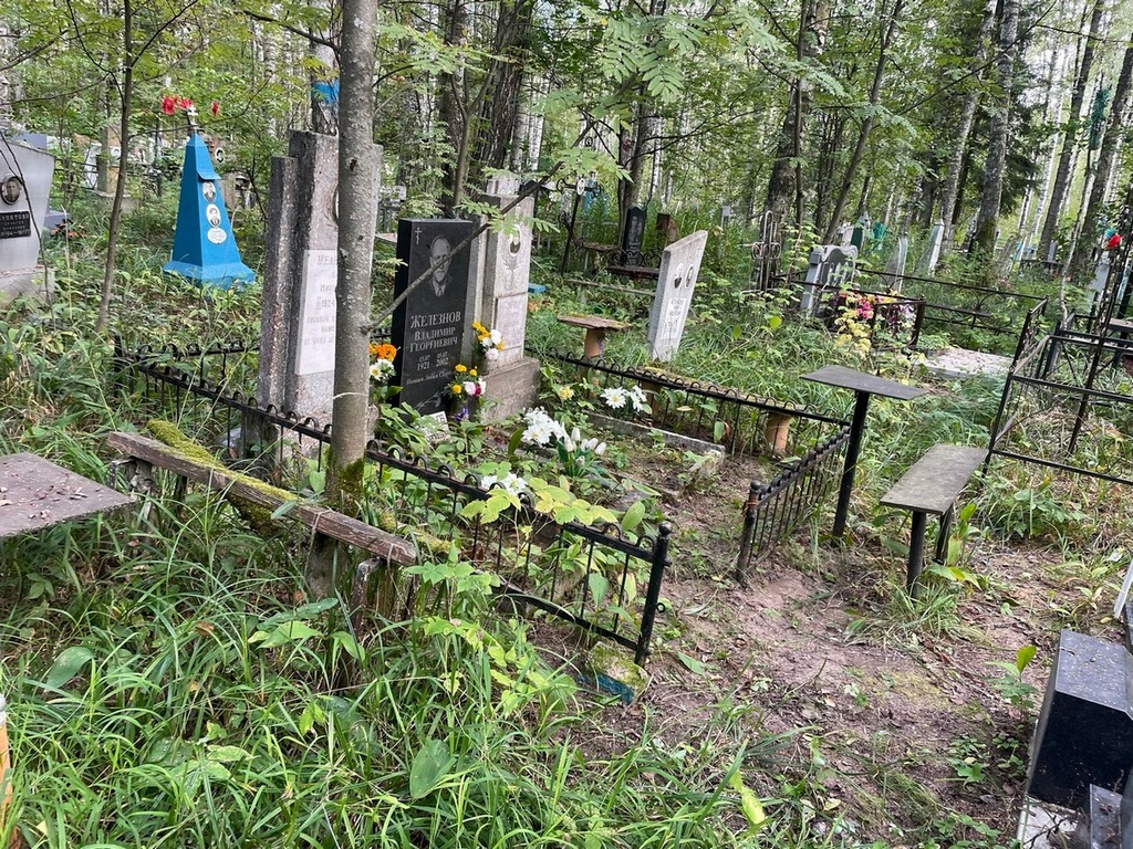 Железнова Лидия Николаевна