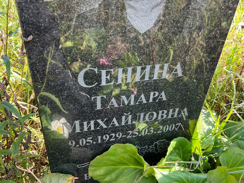 Сенина