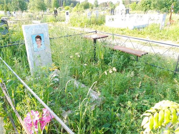 Лауб Альбина Борисовна