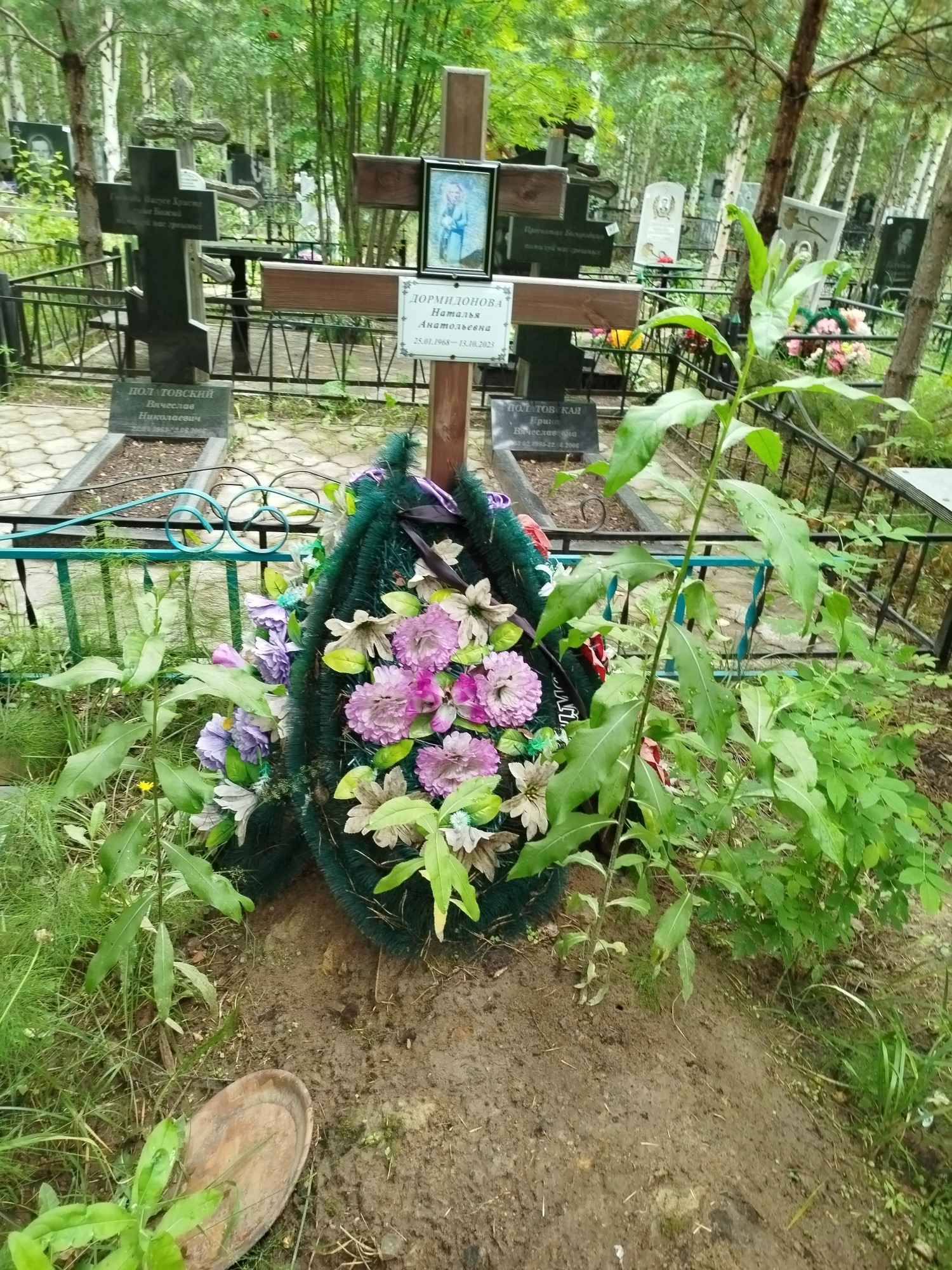 Дормидонова Наталья Анатольевна