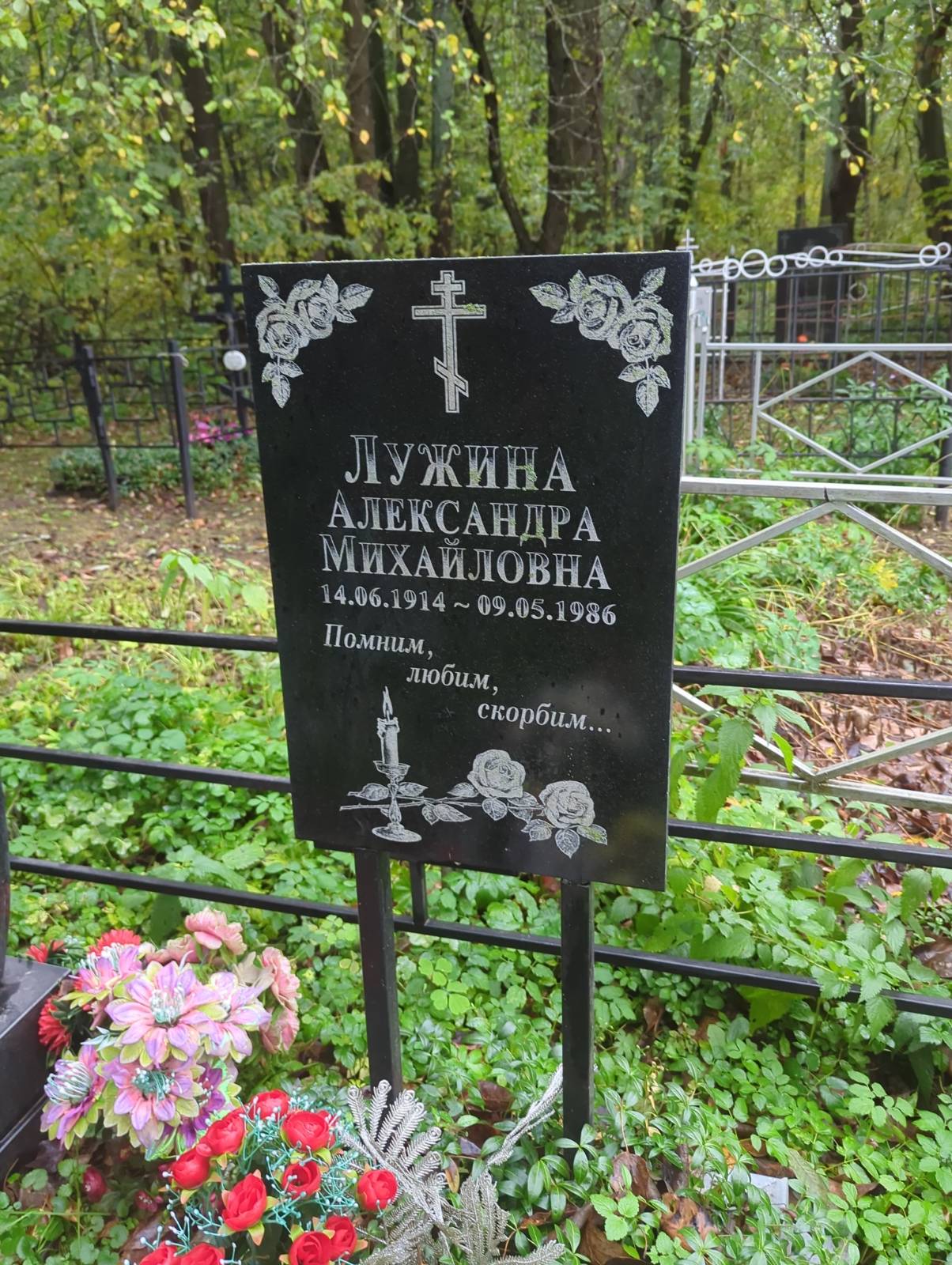 Лужина Александра Михайловна