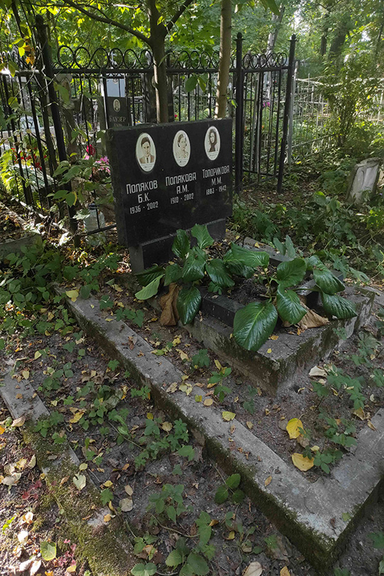 Поляков Борис Константинович