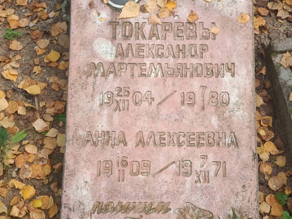 Токарева Анна Алексеевна