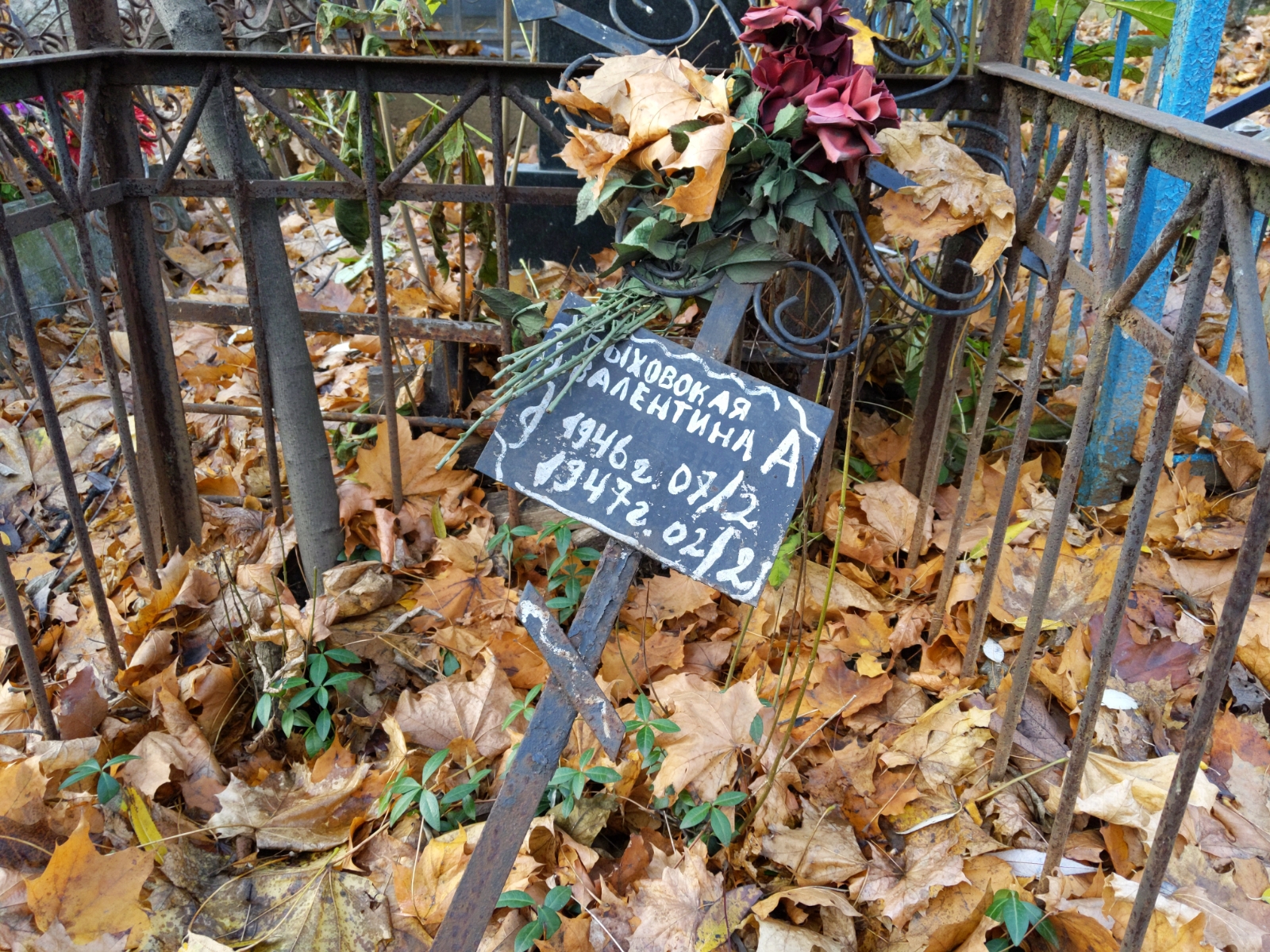 Быховская Валентина А.
