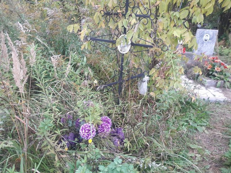 Сущев Николай Валерьевич