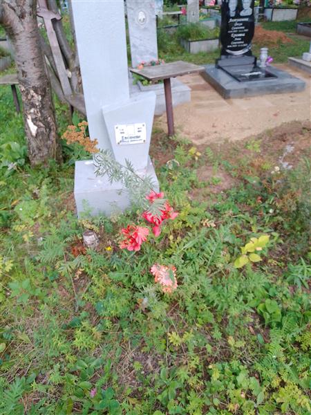 Евсянова Евдокия Степановна