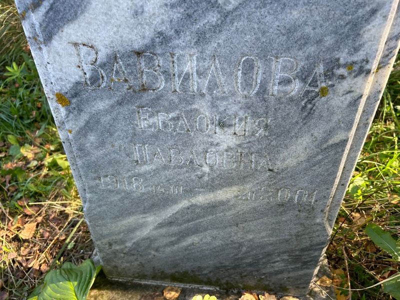 Вавилова