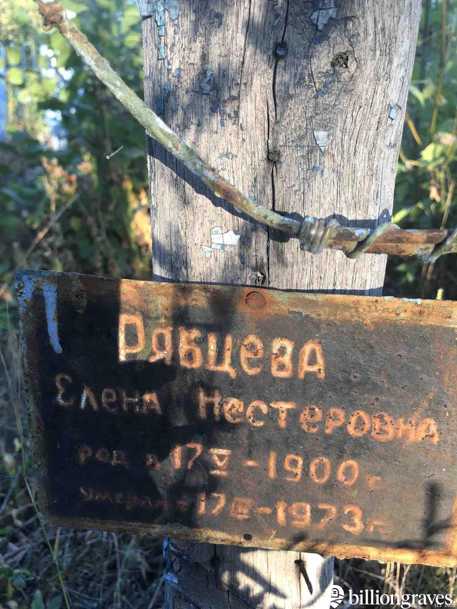 Рябцева Елена Нестеровна