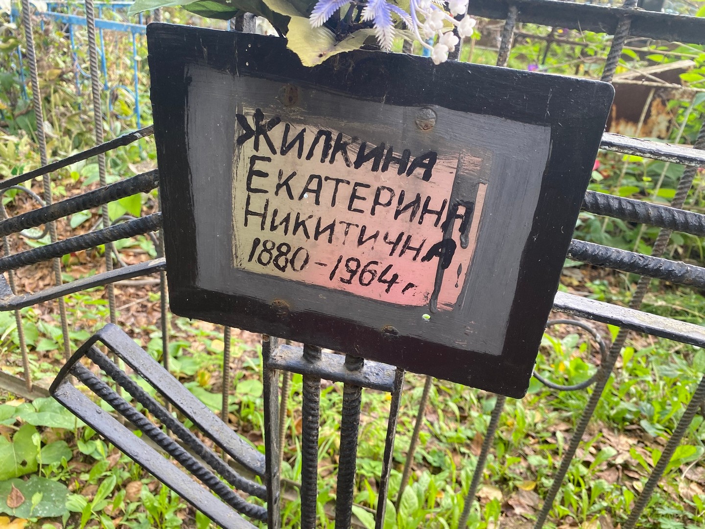 Жилкина