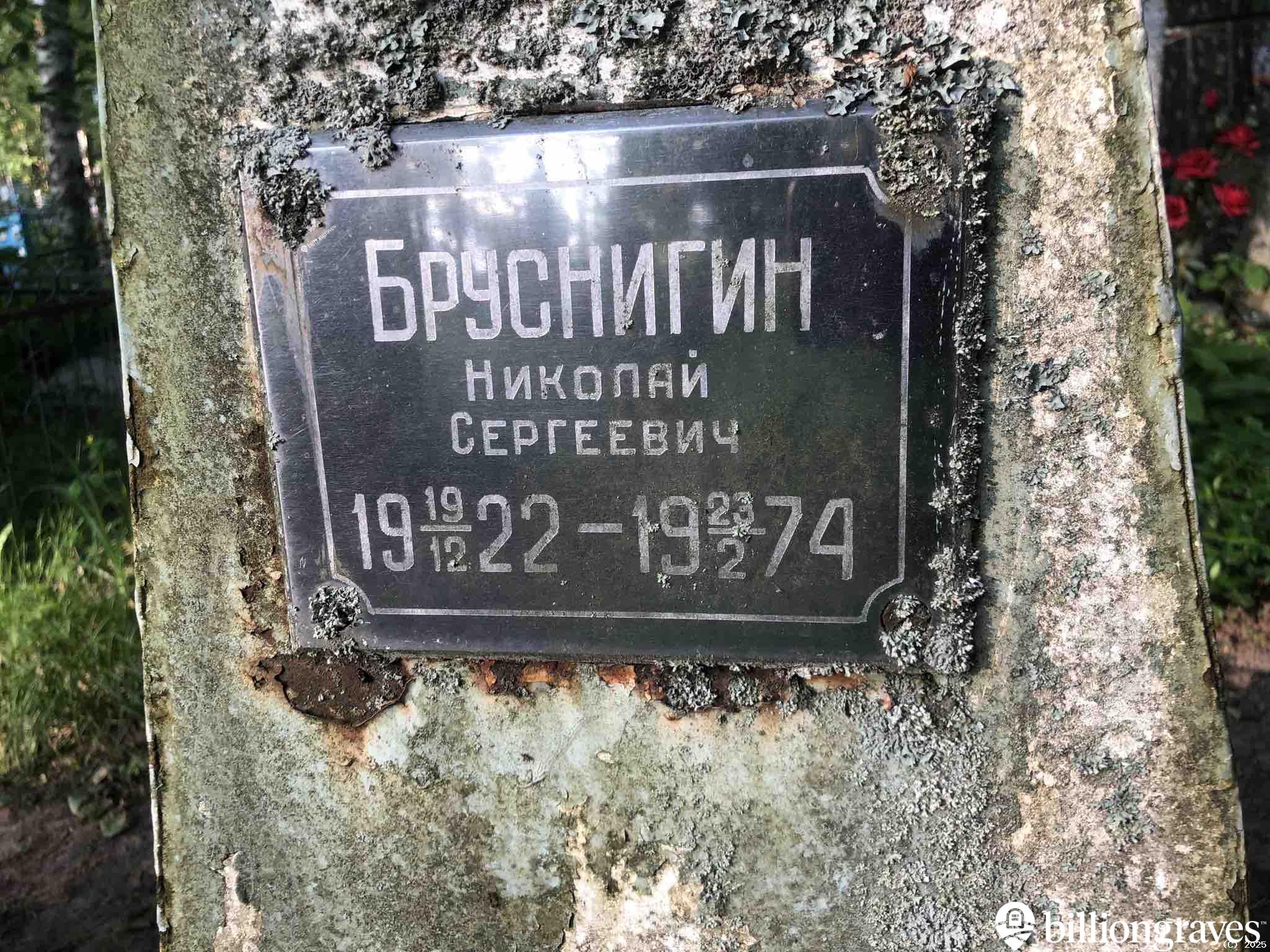 Бруснигин Николай Сергеевич