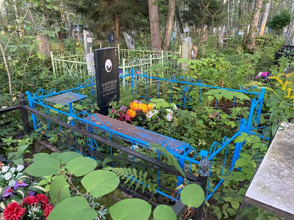 Дмитриева Александра Степановна