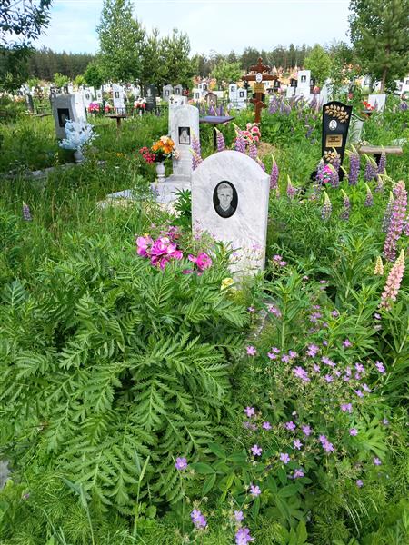 Николаев Дмитрий Анатольевич