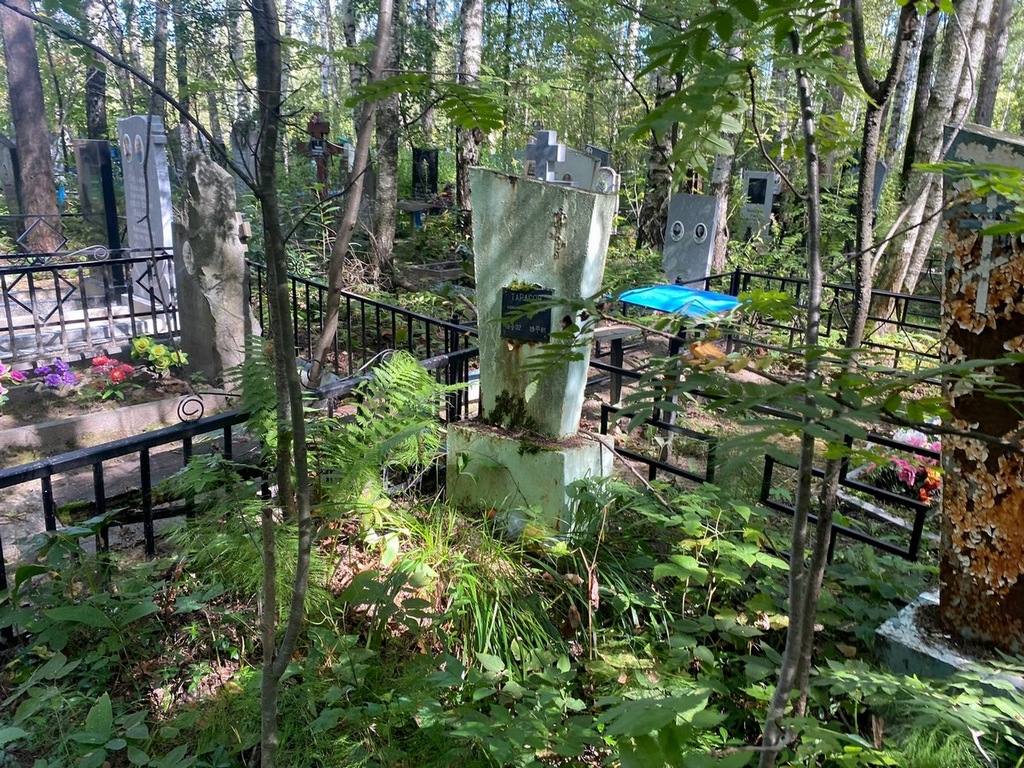 Тарасов Александр Яковлевич