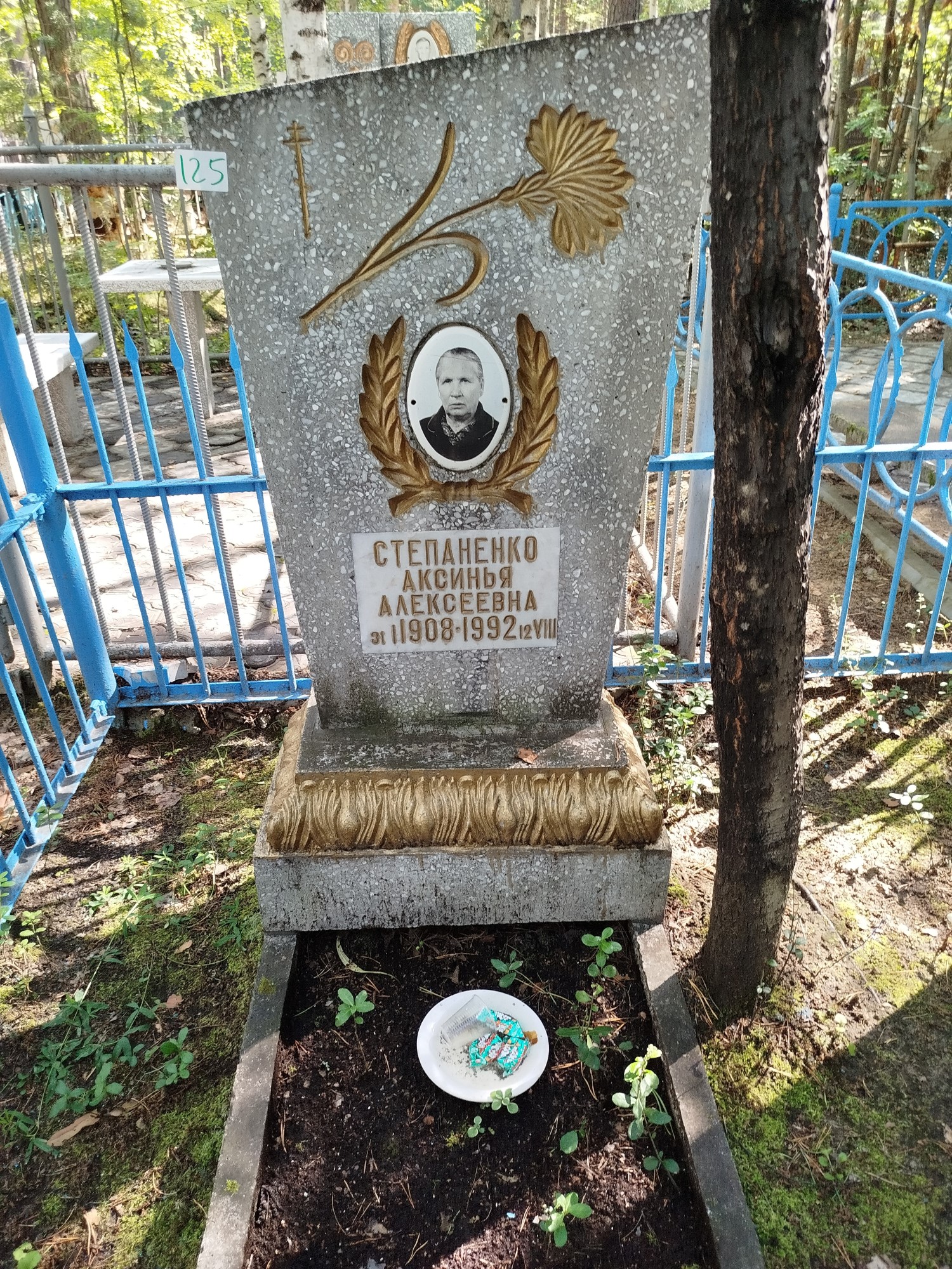 Степаненко Аксинья Алексеевна