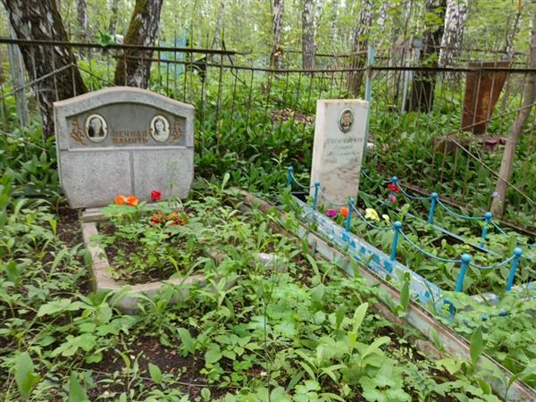 Янишевский Николай Александрович