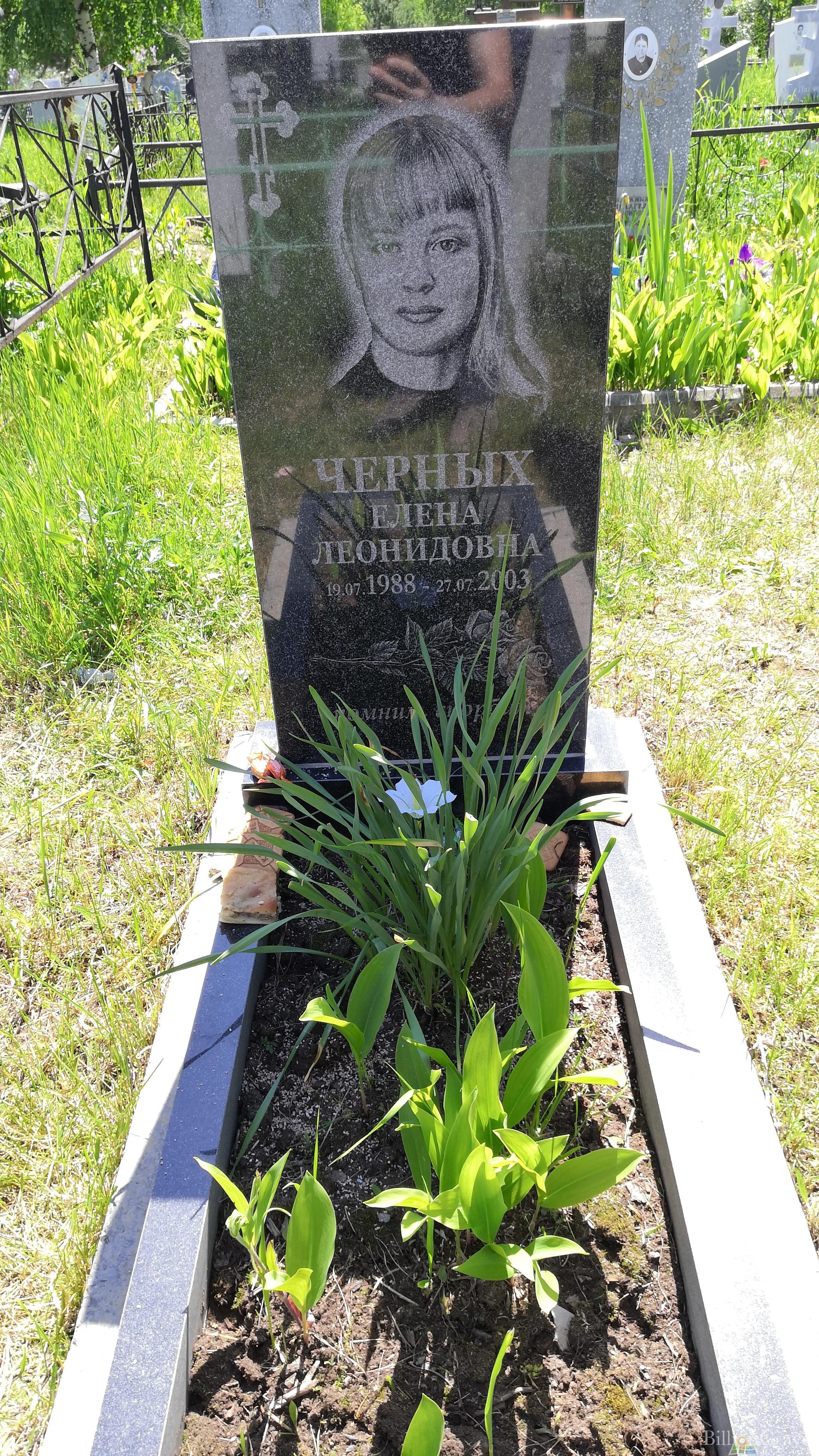 Черных Елена Леонидовна