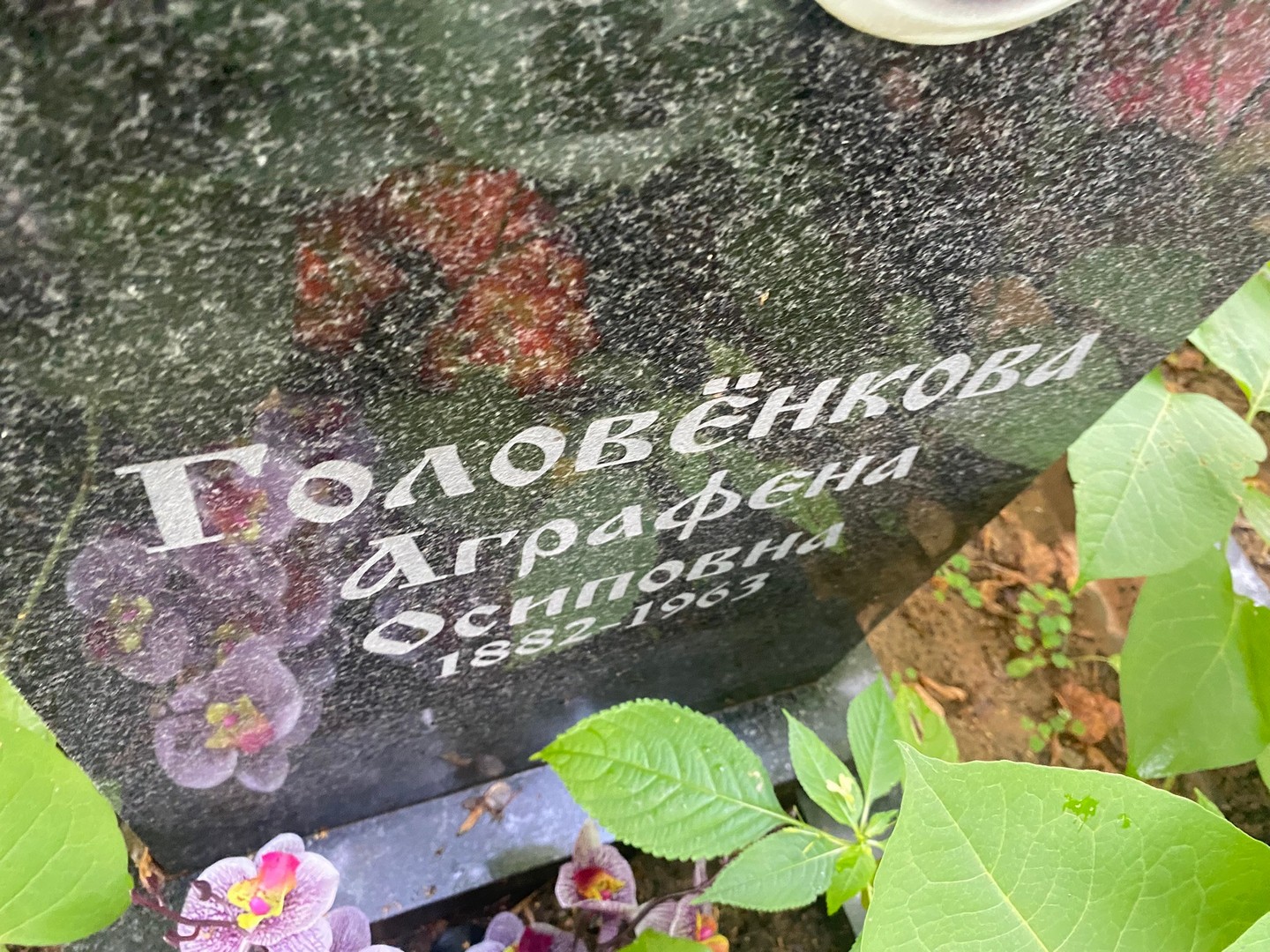 Аграфена Головенкова Осиповна