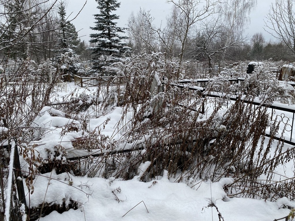 Домбровский Владимир Константинович