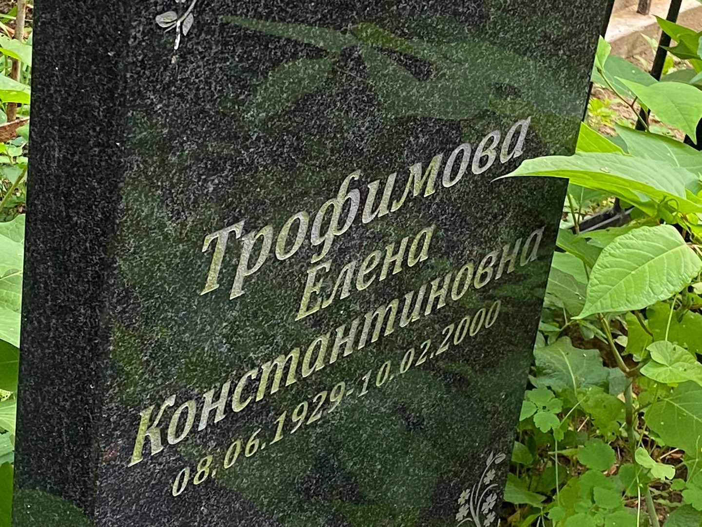 Трофимова