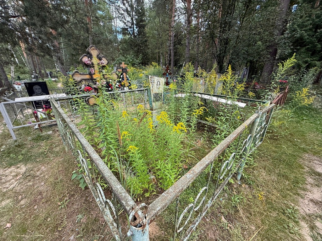 Пономарева А А