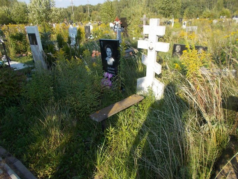 Лебедев Владимир Михайлович