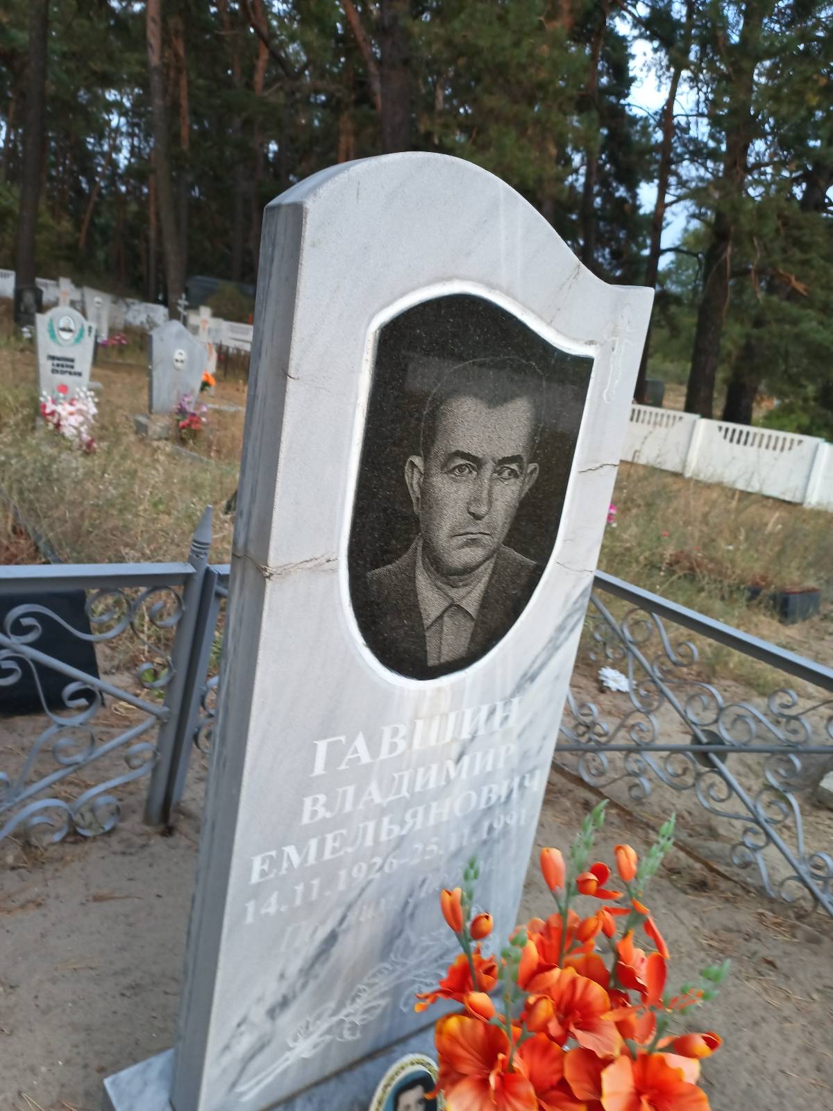 Гавшин Владимир Емельянович