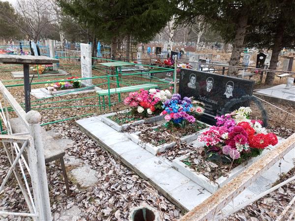 Лебедев Владимир Евгеньевич