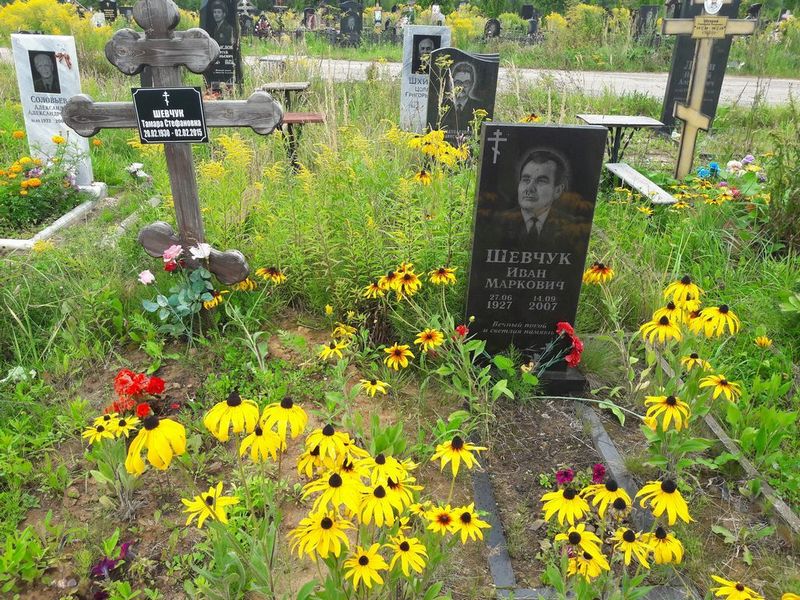 Шевчук Иван Маркович