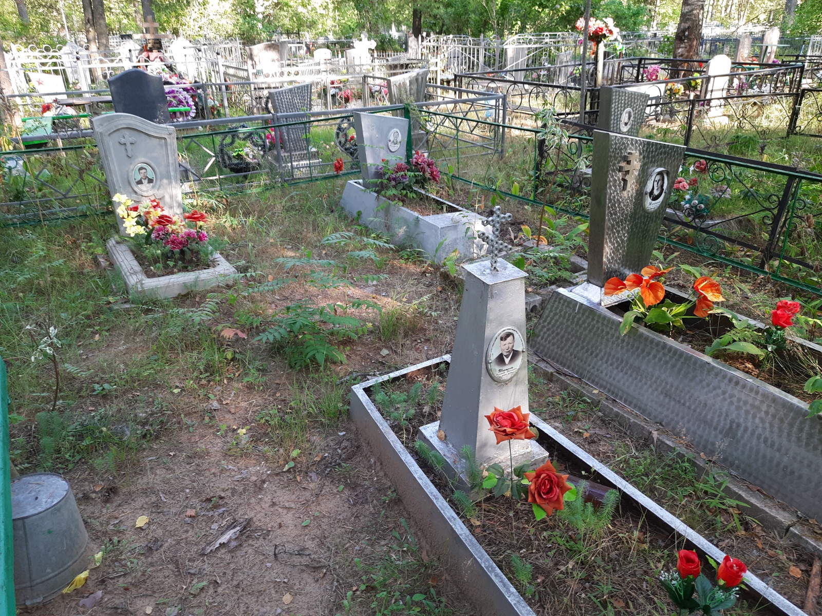 Андреев Алексей Анатольевич