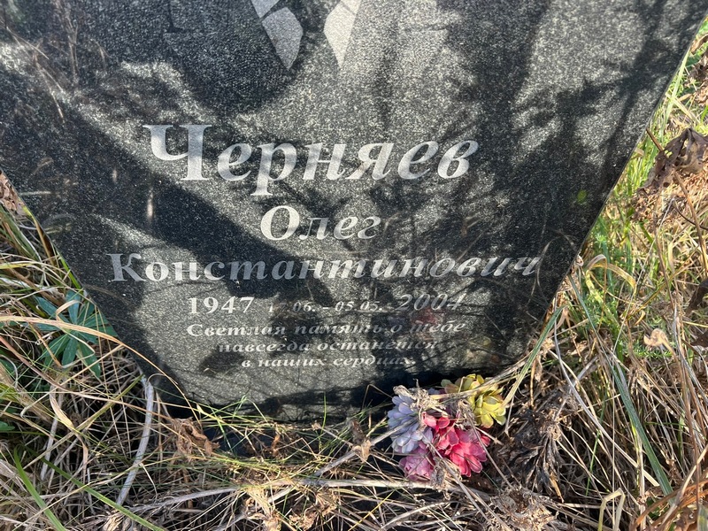Черняев