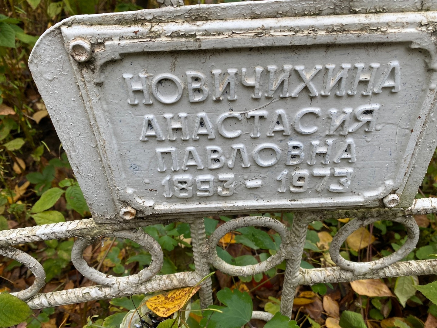 Новичихина Анастасия Павловна