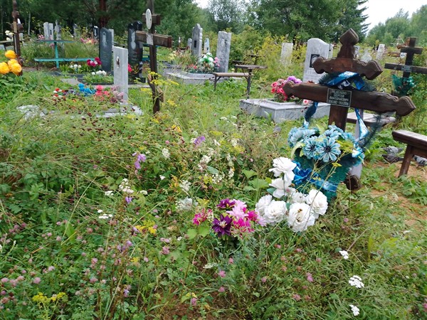 Неделько Сергей Анатольевич