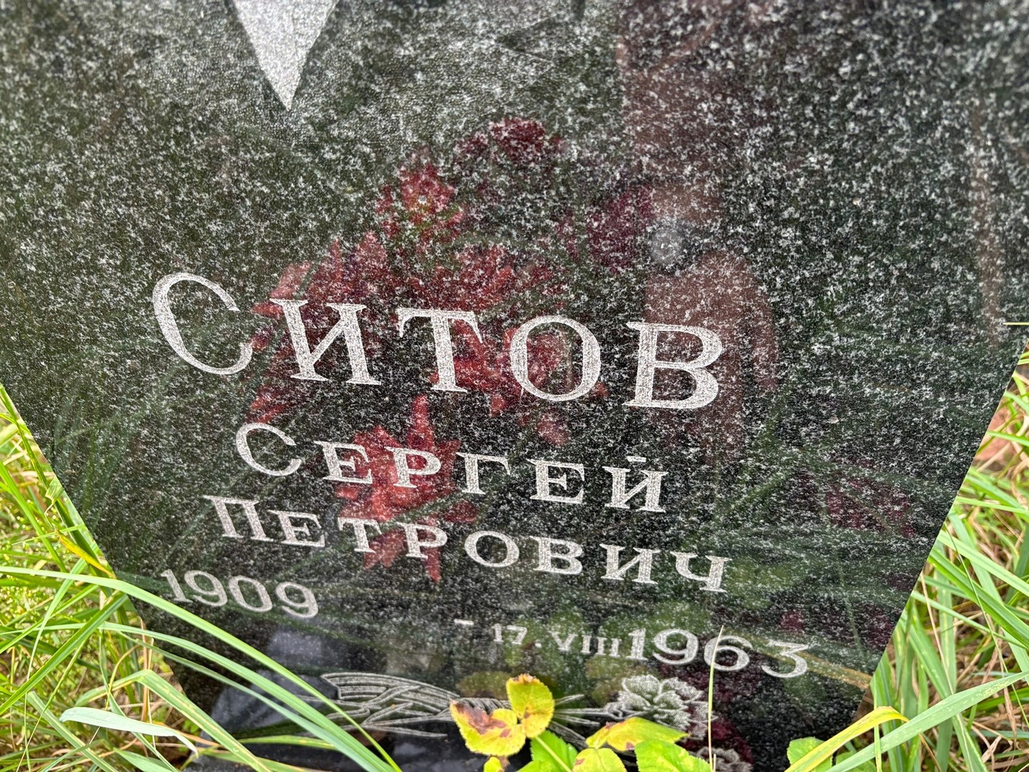 Ситов