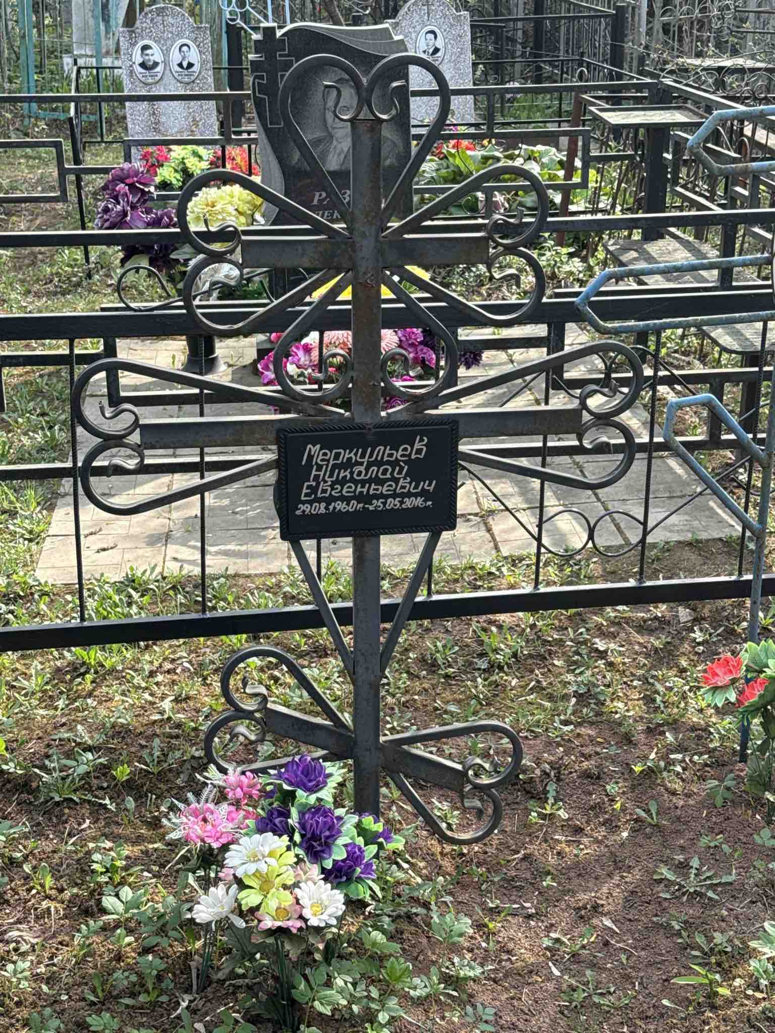 Меркульев Николай Евгеньевич